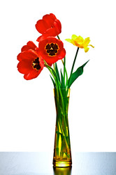 Similar image 689563