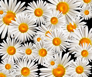 Similar image 689571