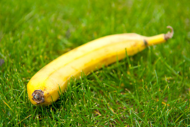 Similar image 689590