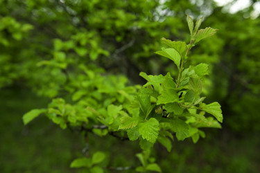 Similar image 689622