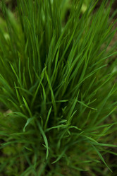 Similar image 689627