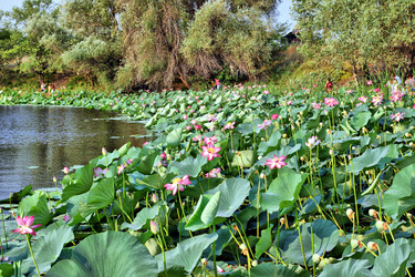 Similar image 689628