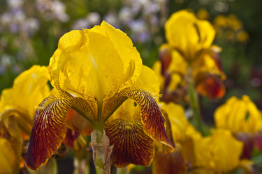 Similar image 689643