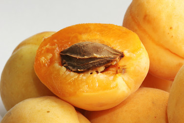 Similar image 689696