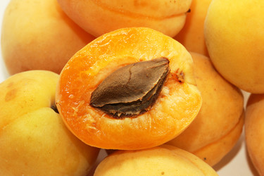 Similar image 689700