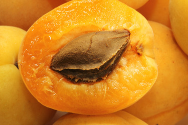 Similar image 689702