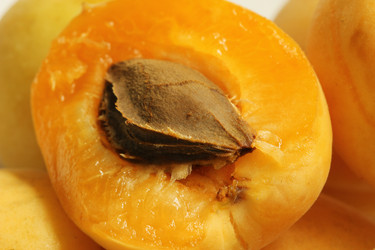 Similar image 689703