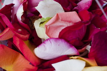 Similar image 689724