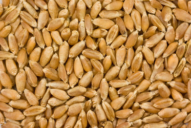 Similar image 689768