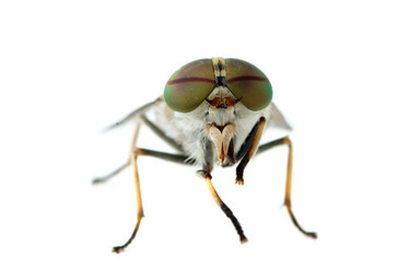 Similar image 689835