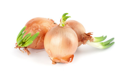 Similar image 689839