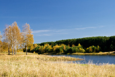 Similar image 689859