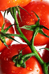 Similar image 689876