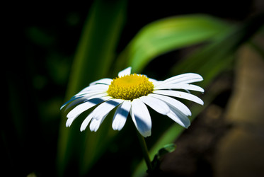 Similar image 689896