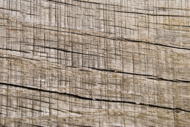 Similar image 689897