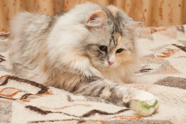 Similar image 689927