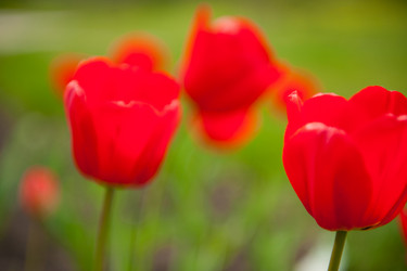 Similar image 689932