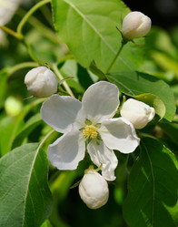 Similar image 689957