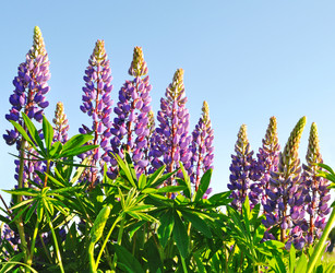 Similar image 689962