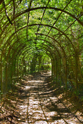 Similar image 689963