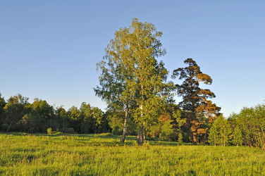 Similar image 689974