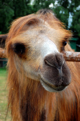 Similar image 690098