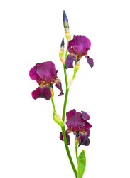 Similar image 690147