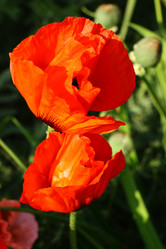 Similar image 690236