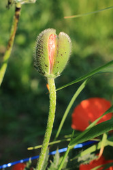 Similar image 690240