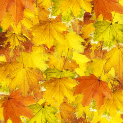 Similar image 690241