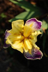 Similar image 690244