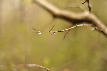 Similar image 690305