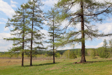 Similar image 690336