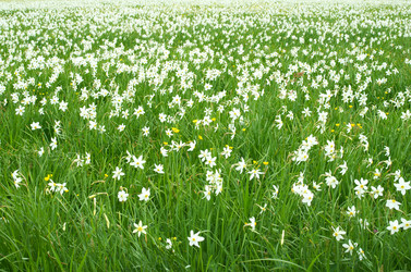 Similar image 690339