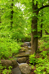 Similar image 690342