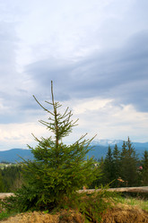 Similar image 690348