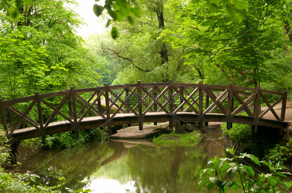 Коричневый деревянный мост в лесу - скачать фото бесплатно | Flyvi