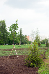 Similar image 690412