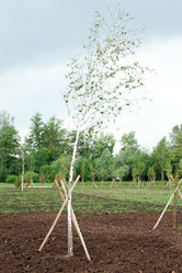 Similar image 690414