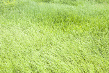 Similar image 690486