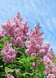 Similar image 690505