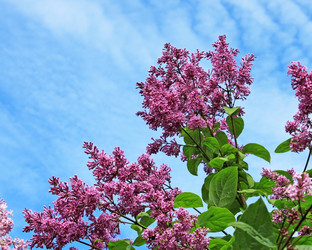 Similar image 690506