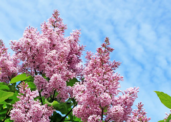 Similar image 690507