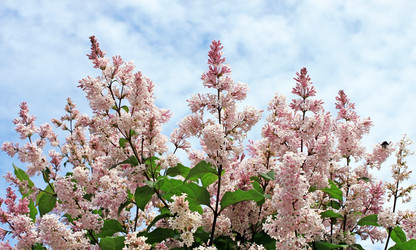 Similar image 690508