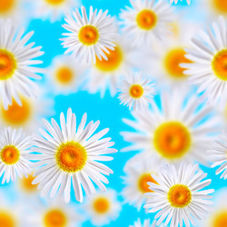 Similar image 690567