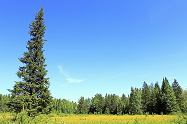 Similar image 690590