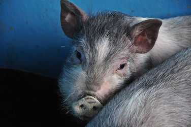 Similar image 690651