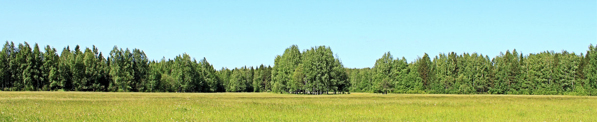 Similar image 690737