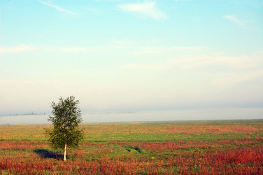 Similar image 690815