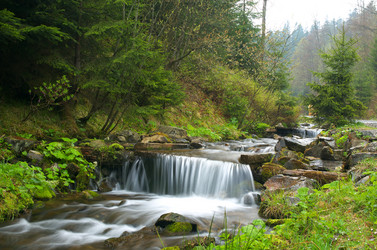 Similar image 690835